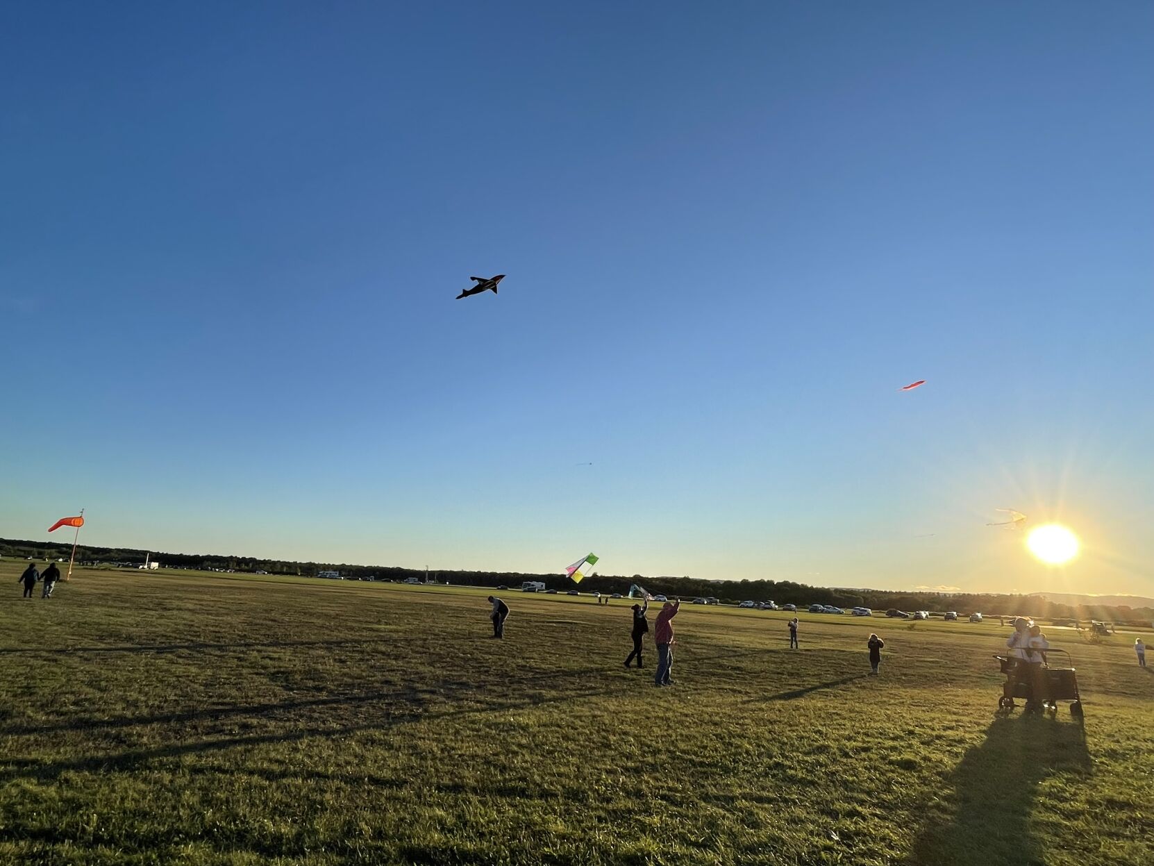 Kites